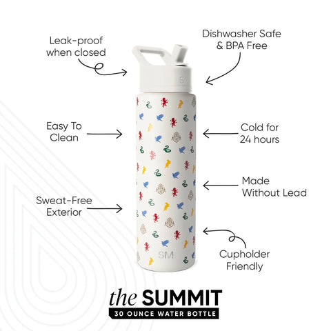 Summit Water Bottle with Straw Lid
