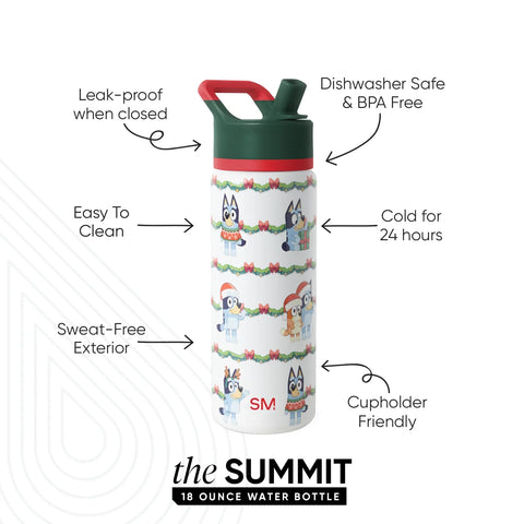 Summit Kids Water Bottle with Straw Lid
