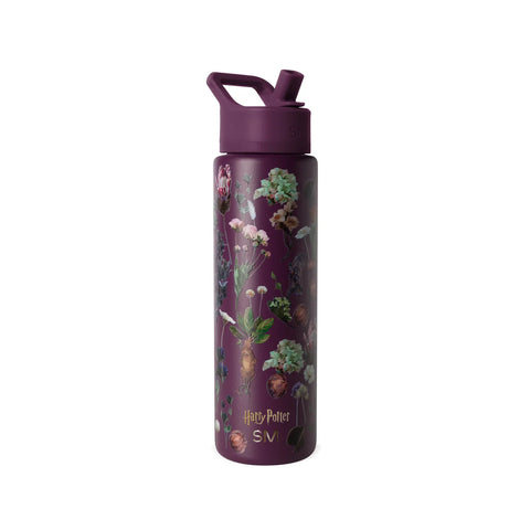 Summit Water Bottle with Straw Lid