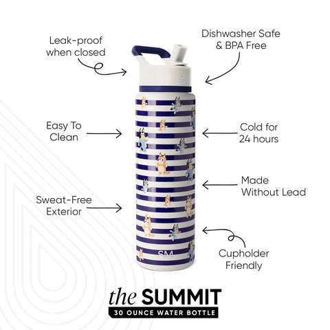 Summit Water Bottle with Straw Lid